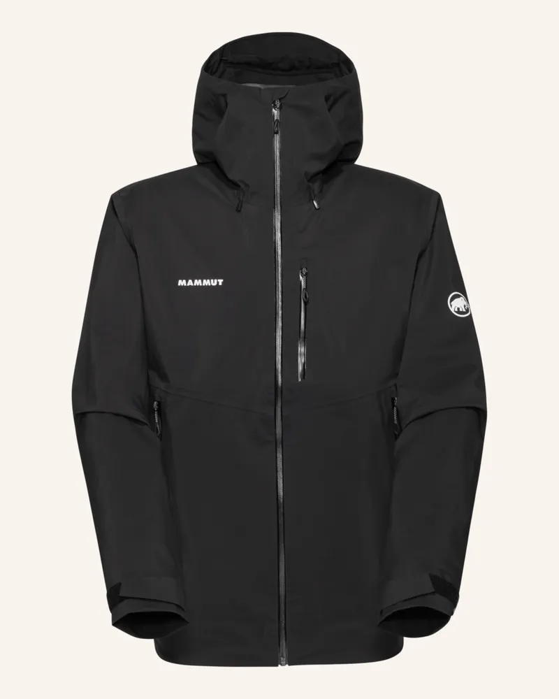 Mammut Hardshell-Jacke Alto Guide Hooded schwarz Schwarz