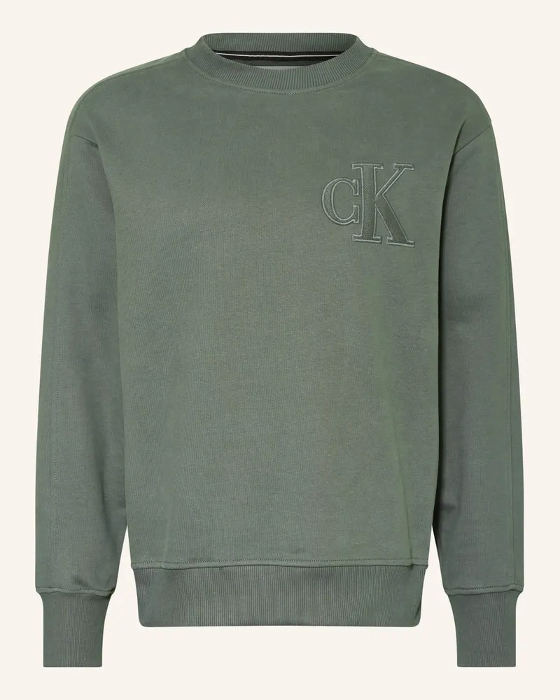 Calvin Klein Sweatshirt Grau