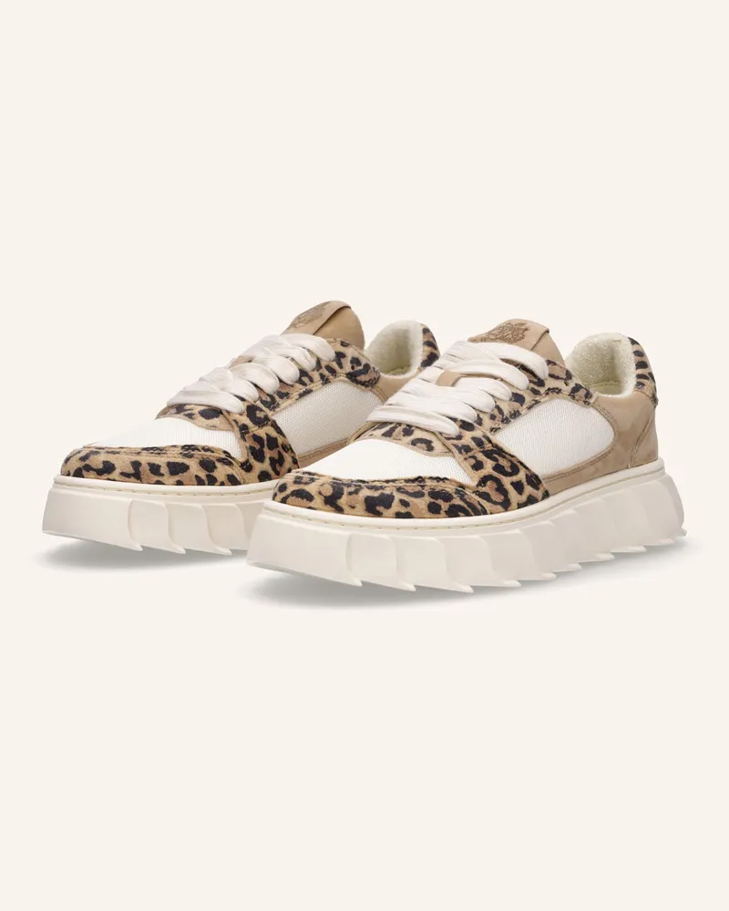 Apple of Eden Sneaker Dunkelbraun