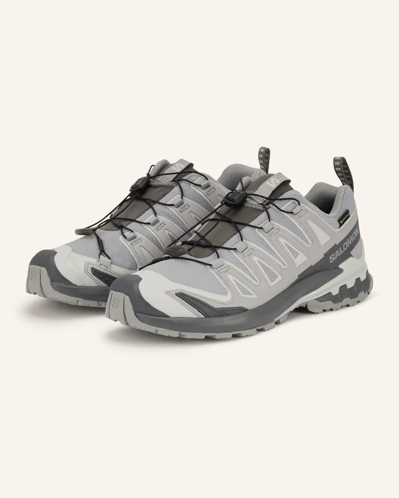 Salomon Trailrunning-Schuhe Xa Pro 3d v9 Gtx grau Hellgrau