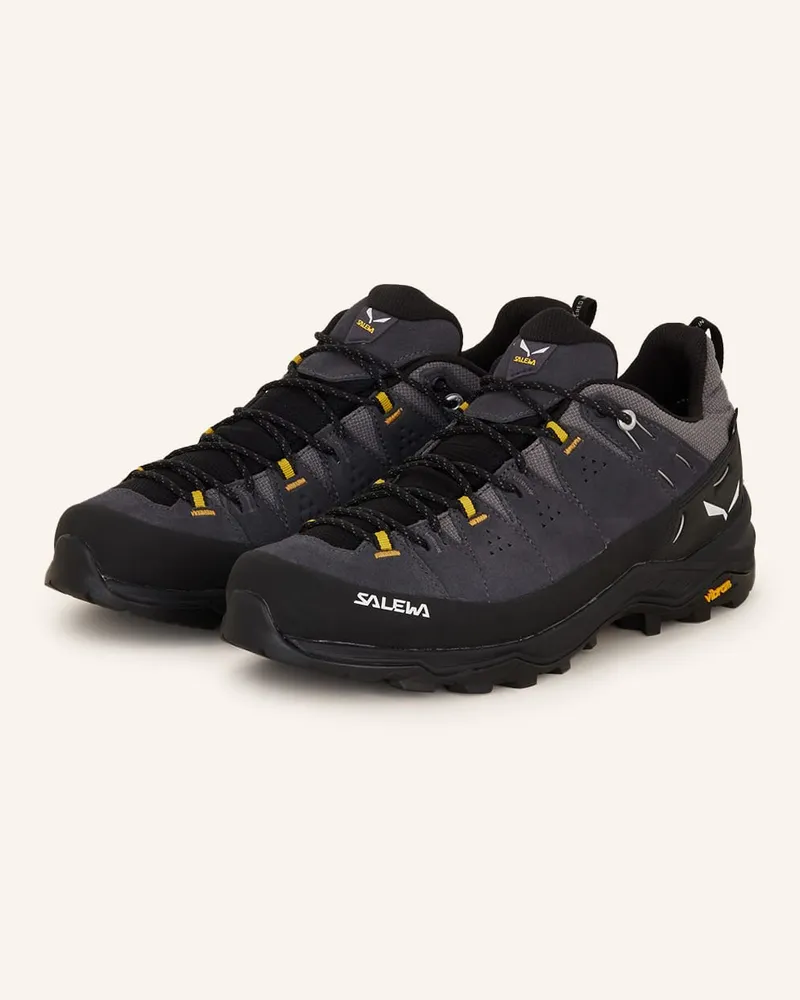 Salewa Multifunktionsschuhe ALP TRAINER 2 GTX Grau