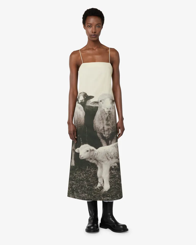 Moschino Kleid aus bedrucktem Baumwollgabardine - Grau Grau