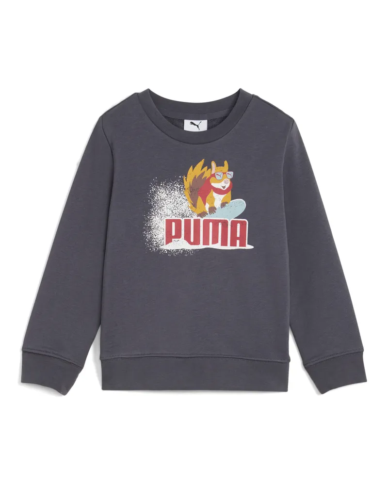 Puma Woodland Fleece Crew Sweatshirt Kinder, Kleidung, Grau Grau