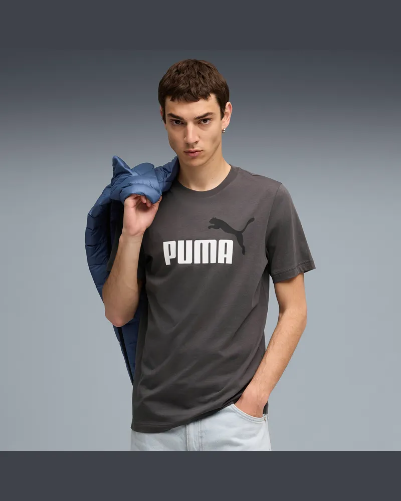Puma Essentials 2 Colour No. 1 Logo T-Shirt Herren, Kleidung, Grau Grau