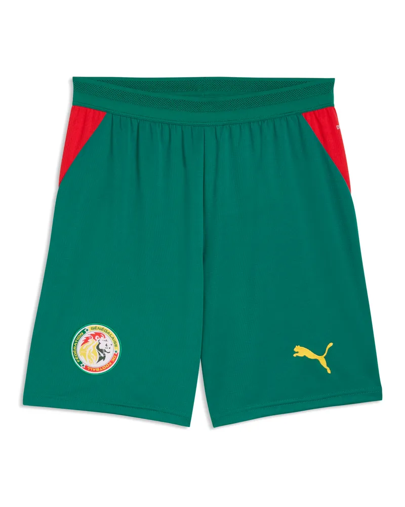 Puma Senegal Shorts Herren, Accessoires, Grün Grün