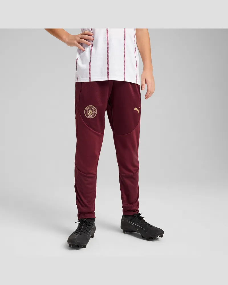 Puma Manchester City Trainingshose Teenager, Kleidung, Rot Rot