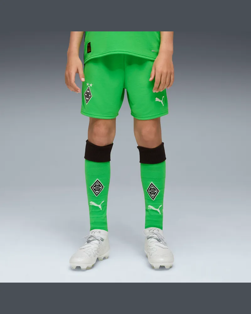 Puma Borussia MÃ¶nchengladbach 25/26 Shorts Teenager, Kleidung, GrÃ¼n Grã¼n