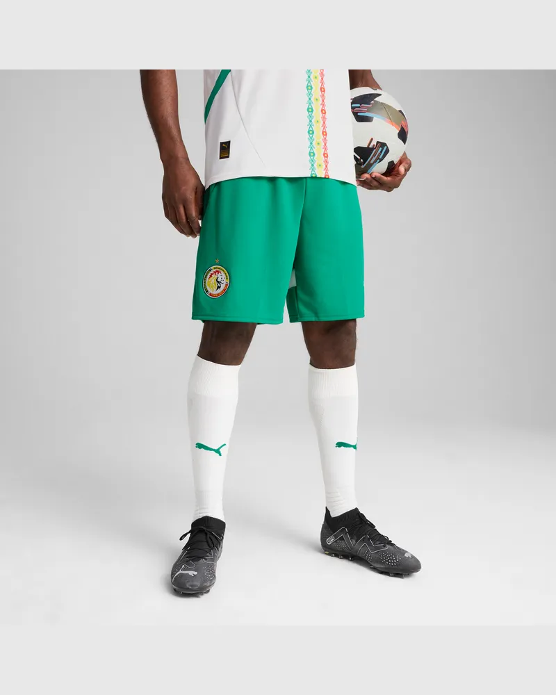Puma Senegal 2025 Shorts Herren, Kleidung, GrÃ¼n Grã¼n