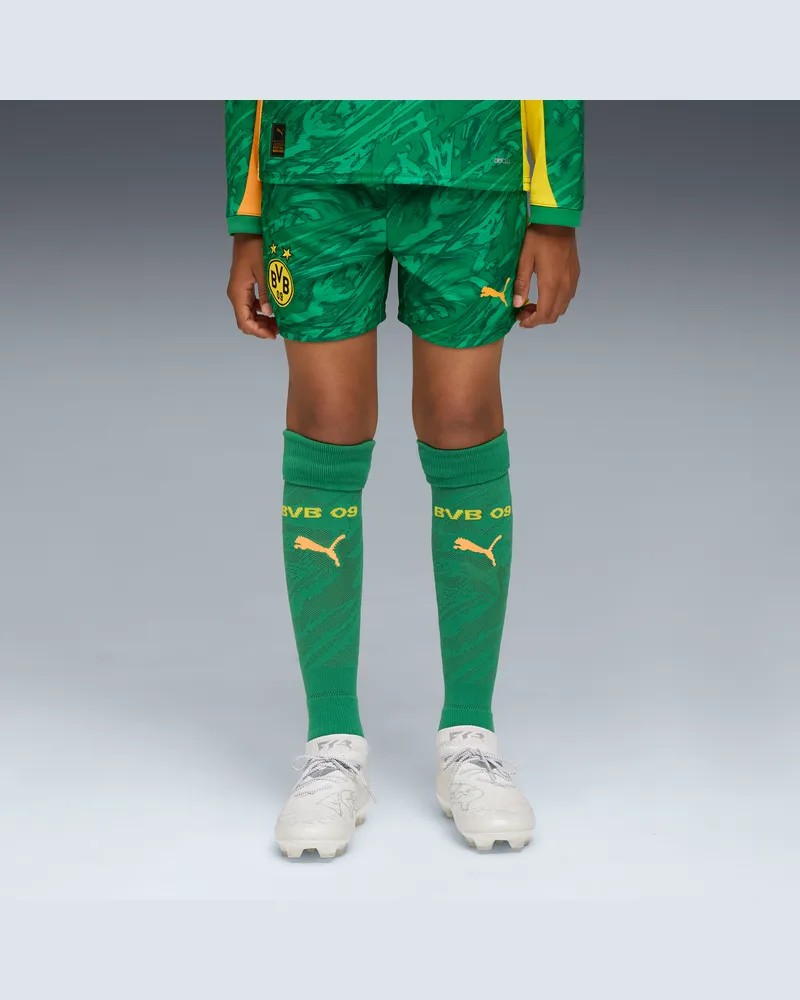 Puma Borussia Dortmund 25/26 Torwartshorts Teenager, Kleidung, Grün Grün