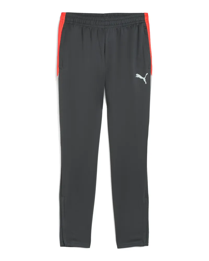 Puma individualLIGA Trainingshose Herren, Accessoires, Grau Grau