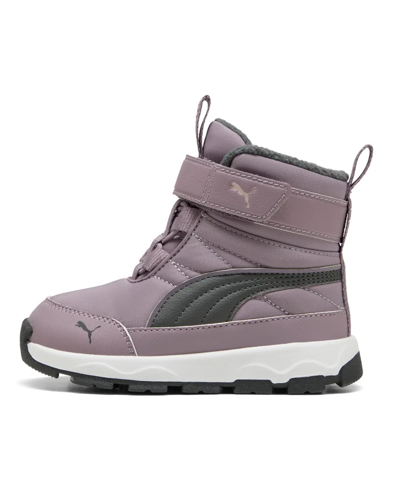 Puma Evolve Stiefel Baby, Schuhe, Lila Lila