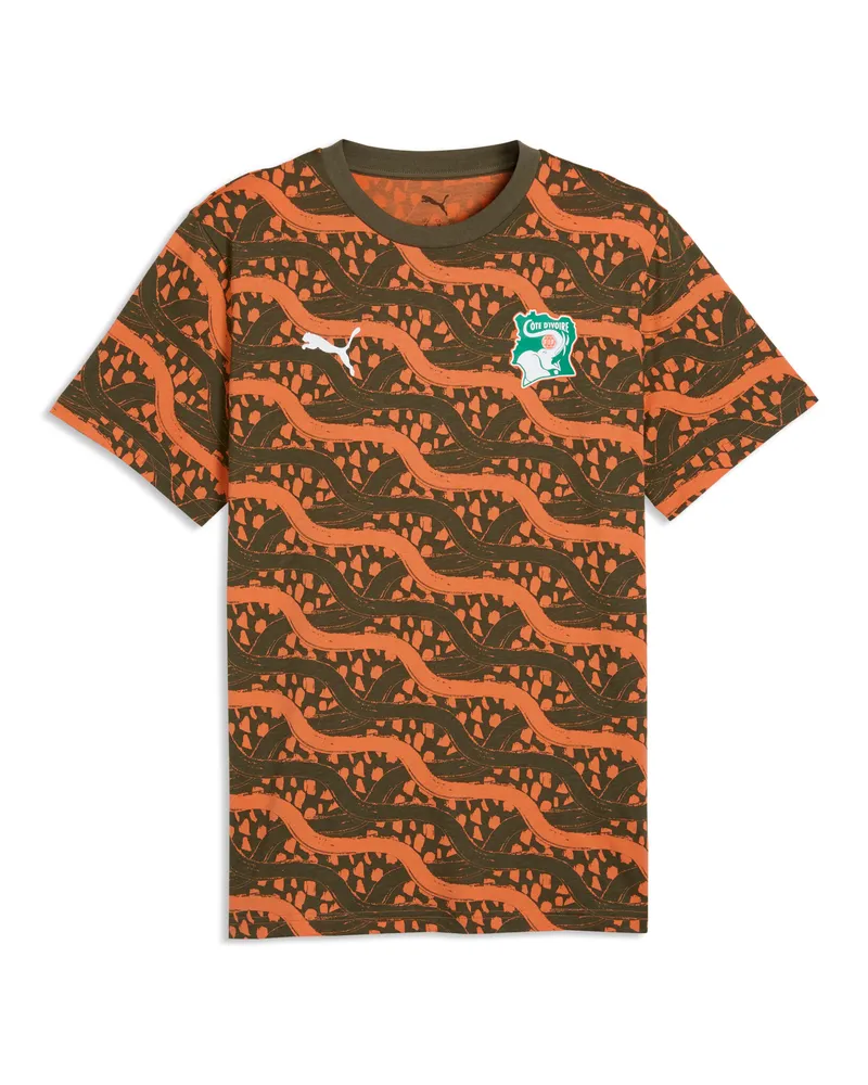 Puma Elfenbeinküste ftblCulture T-Shirt mit Print Herren, Accessoires, Grün Grün