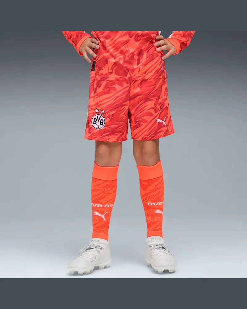 Puma Borussia Dortmund 25/26 Torwartshorts Teenager, Kleidung, Rot Rot