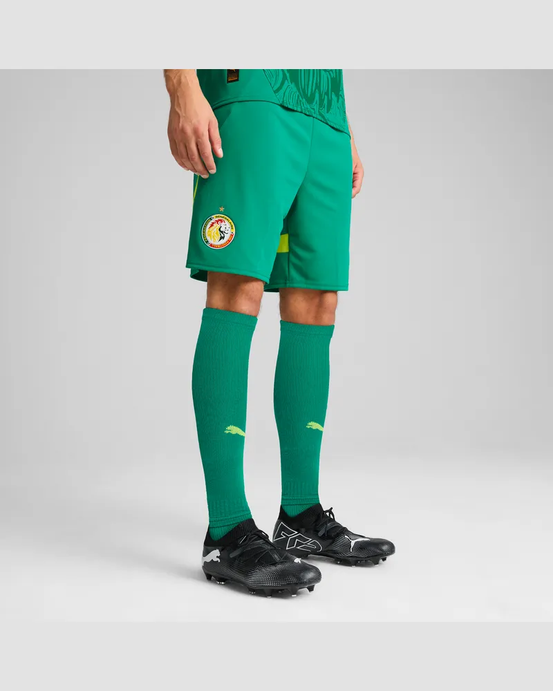 Puma Senegal 2025 Shorts Herren, Kleidung, Grün Grün