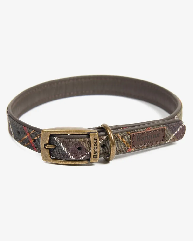 Barbour Hundehalsband aus Leder und Baumwolle mit Dornschließe in Grün