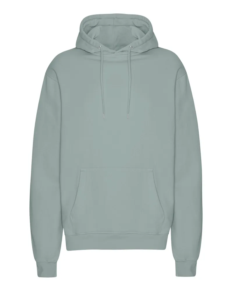 COLORFUL STANDARD Softer Hoodie aus Bio-Baumwolle in Washed-Optik in Grün