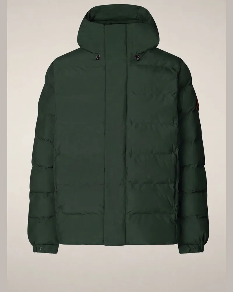 Save The Duck Arctic Puffer-Jacke mit Kapuze und Plumtech®-Ausstattung in Grün