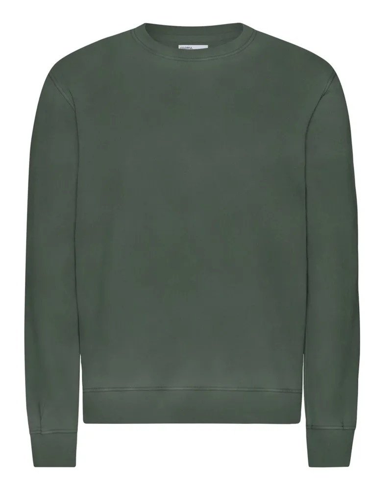 COLORFUL STANDARD Sweatshirt aus Bio-Baumwolle in Washed-Optik in Oliv