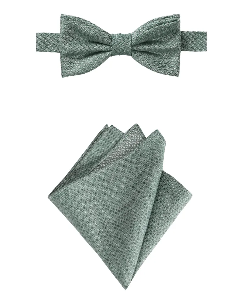 Roy Robson Set aus Fliege und Einstecktuch aus einem Wollmix in Hellgrün