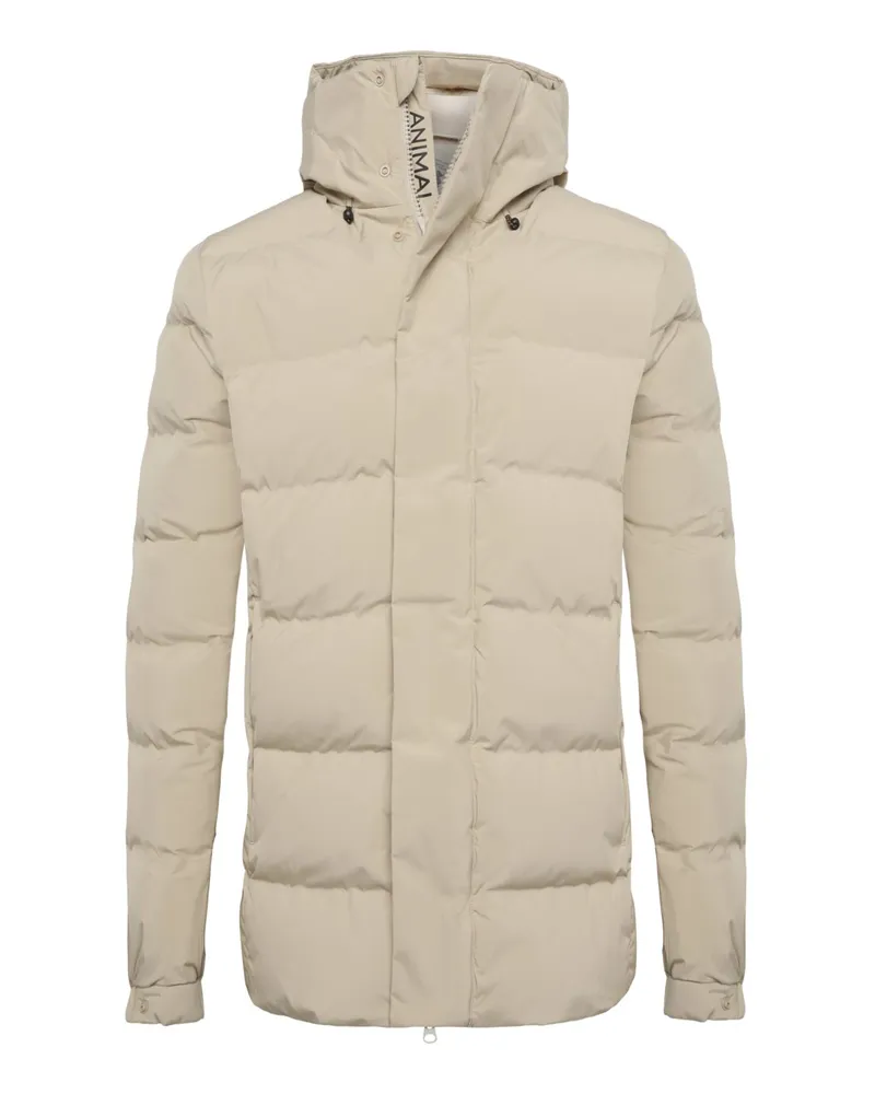 Save The Duck Arctic Puffer-Jacke mit Kapuze und Plumtech®-Ausstattung in Beige