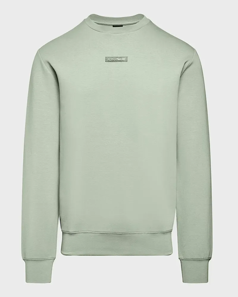 AlphaTauri Glattstrick-Pullover Sauris mit O-Neck und Logo-Emblem in Hellgrün