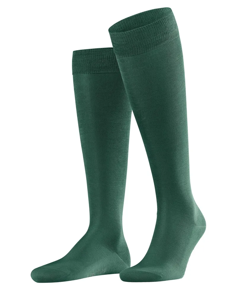 Falke Kniestrümpfe Tiago aus Bio-Baumwolle und Stretch in Tanne