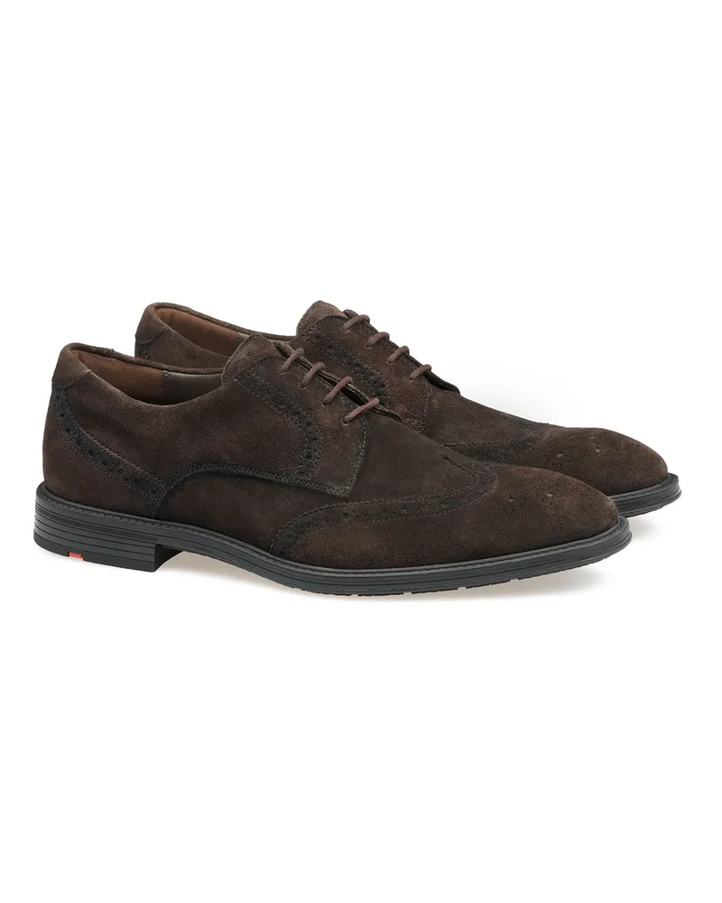 Lloyd Braun Rauleder | X-motion 140 Braun