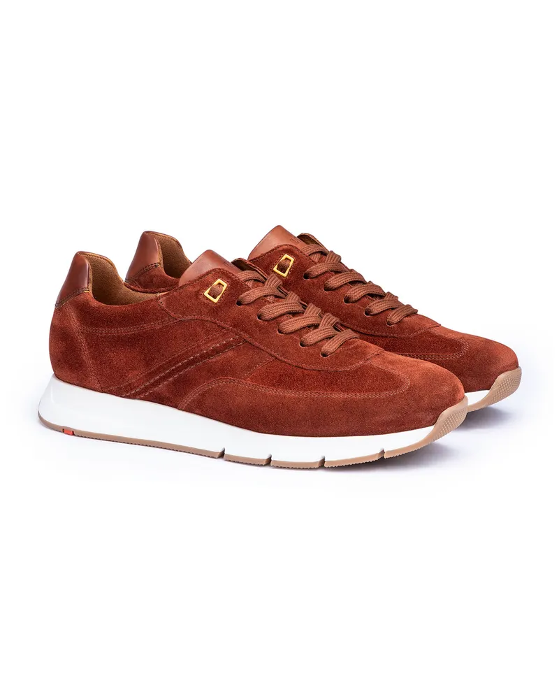 Lloyd Rot Rauleder | Adron Rot