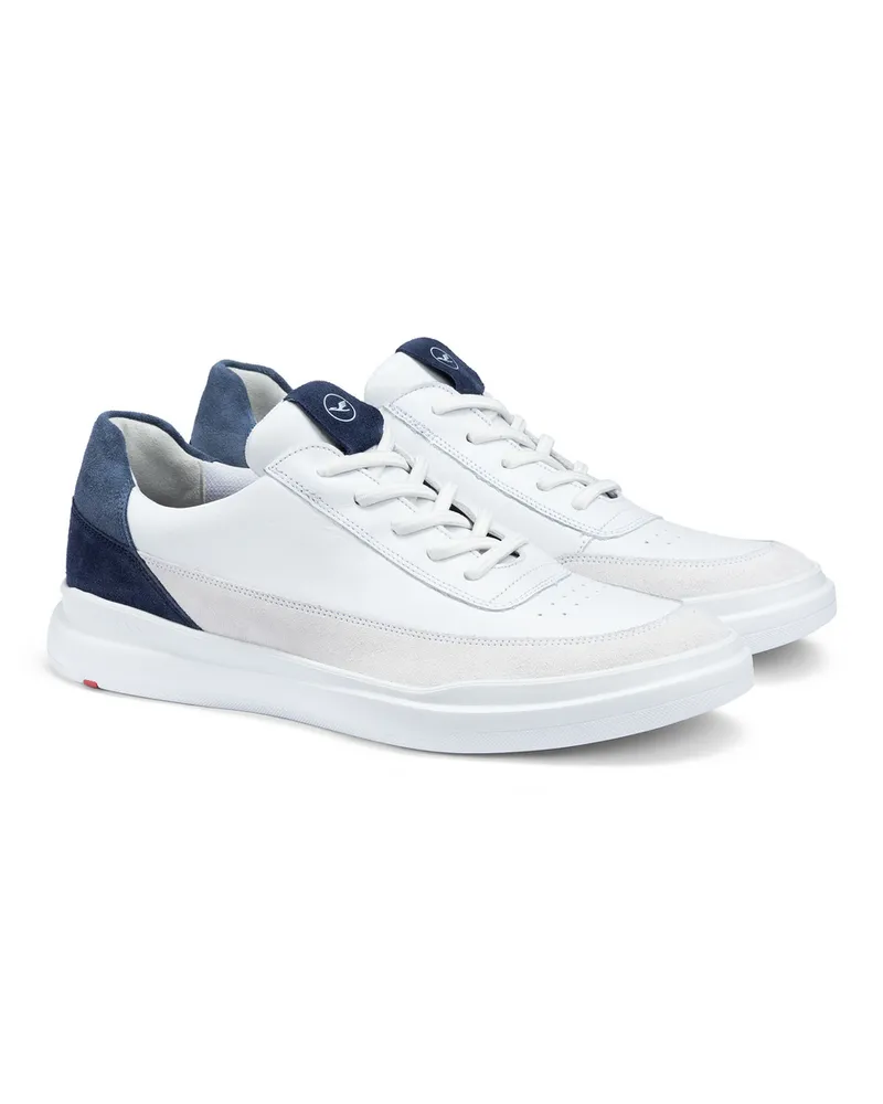 Lloyd Weiss Glattleder | Rauleder | Ario Weiss