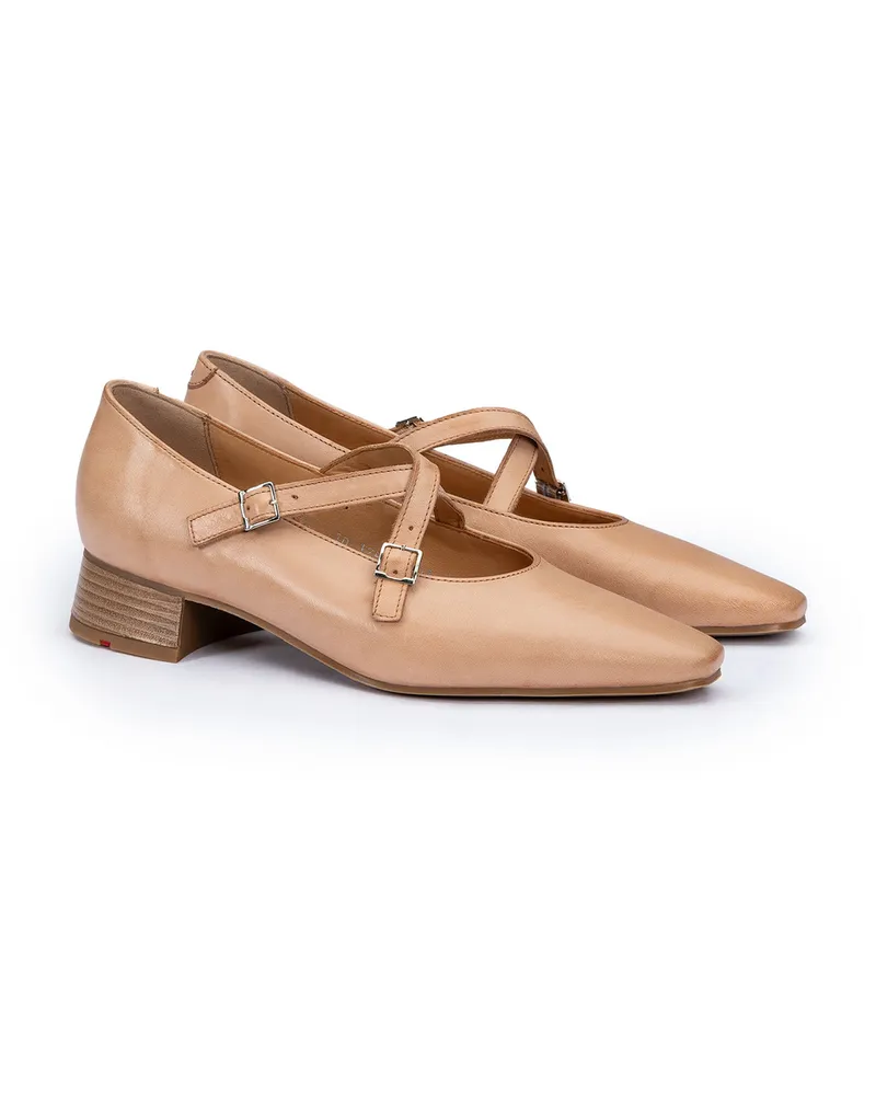 Lloyd Braun Glattleder | Damen Ballerinas Braun Braun