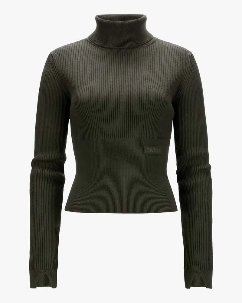 Patou Signature Rib Turtle Pullover Grün