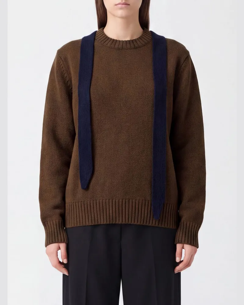Sacai Wollpullover mit Rundhalsausschnitt, Kontrasteinsatz und Stickerei Braun