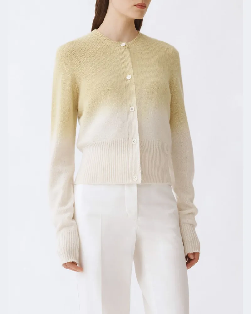 Fabiana Filippi Pullover damen Grün