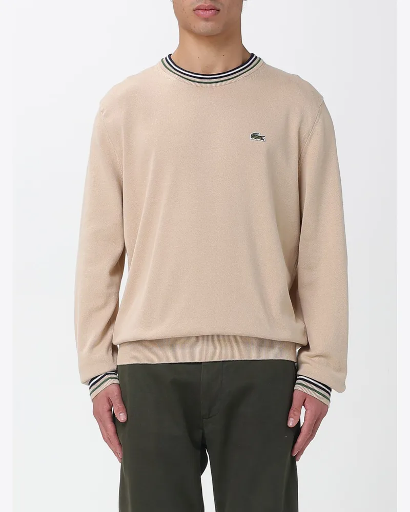 Lacoste Pullover herren Beige