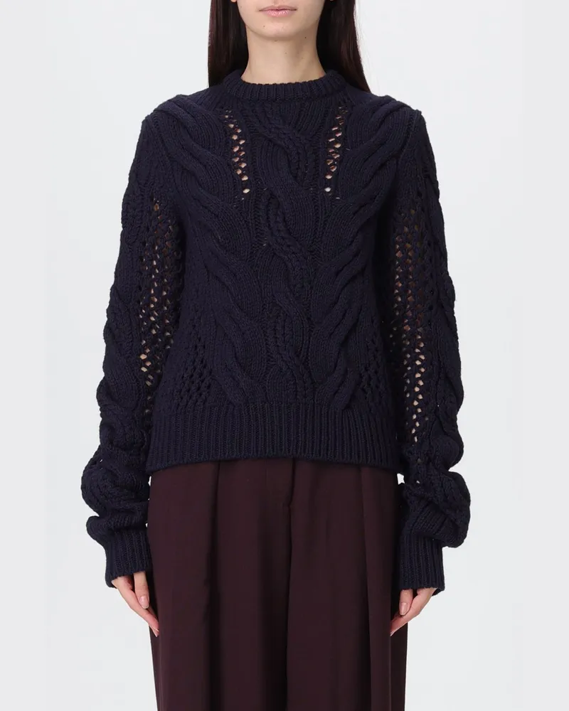 SPORTMAX Pullover damen Blau