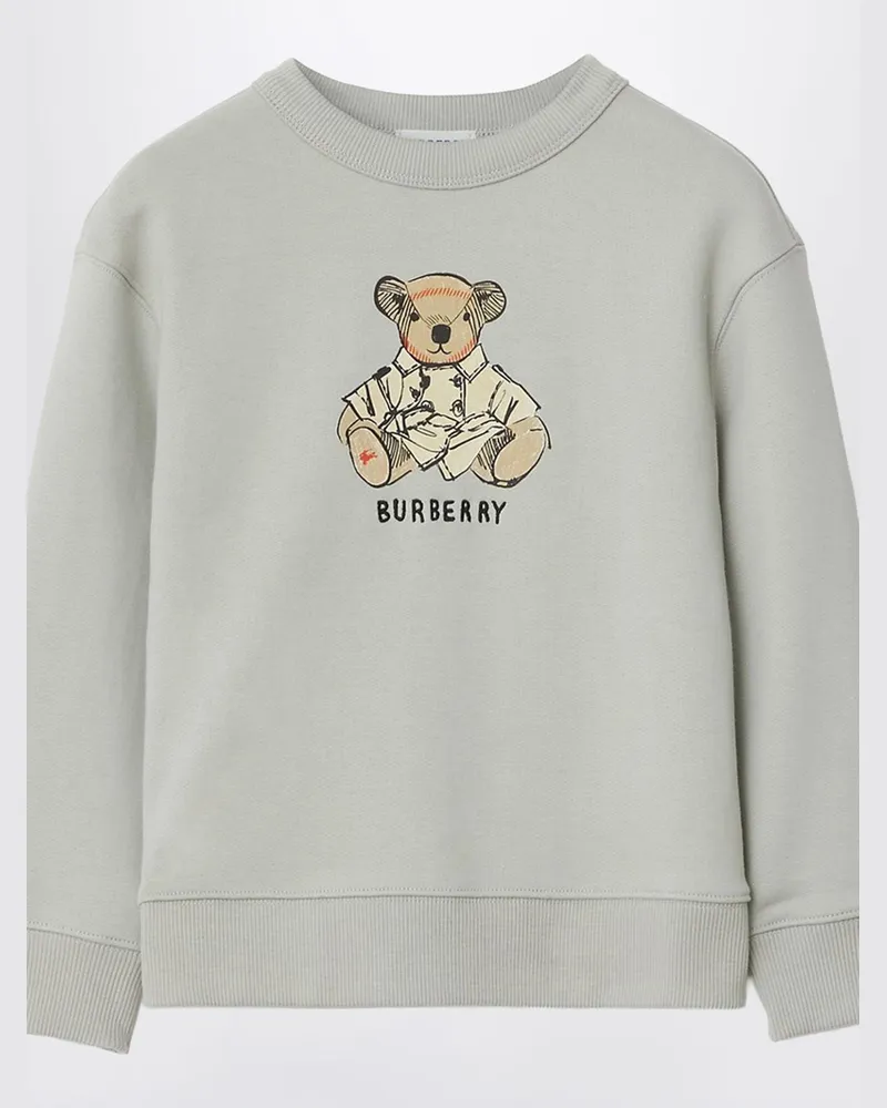 Burberry Pullover kinder Grau