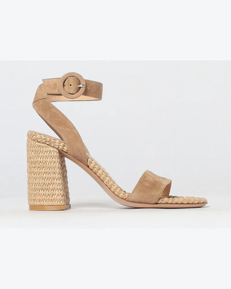 Gianvito Rossi Pumps damen Braun