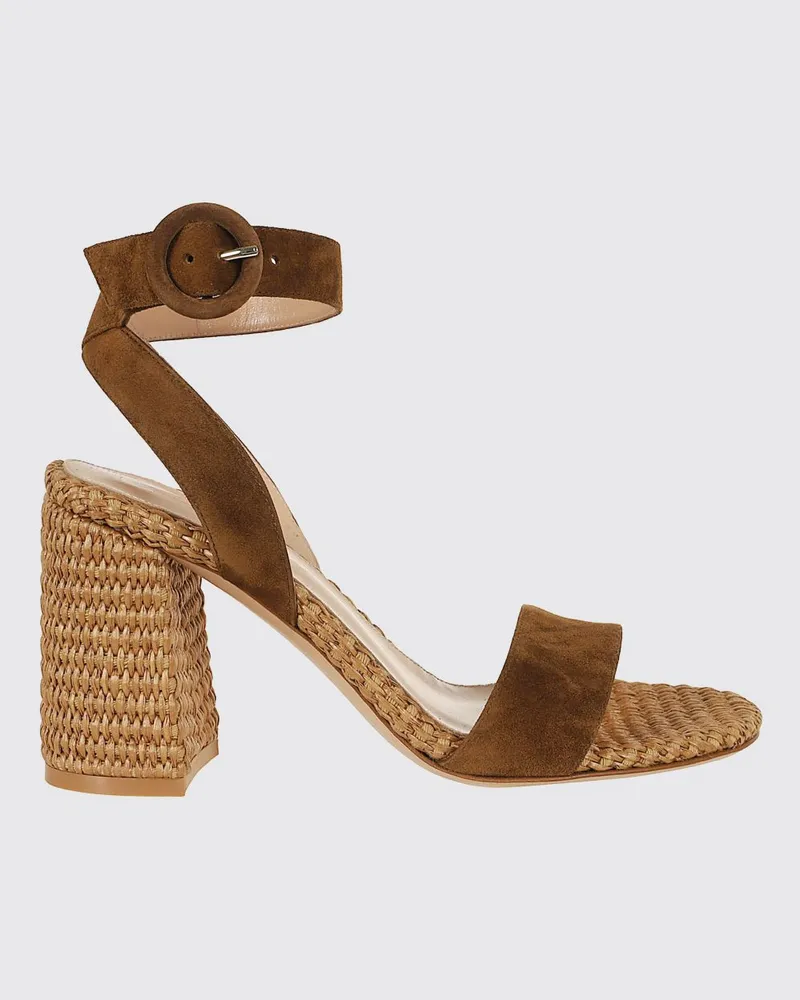 Gianvito Rossi Pumps damen Dark