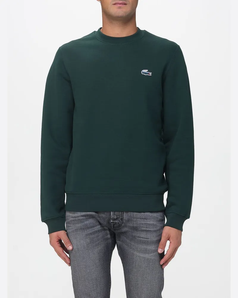 Lacoste Sweatshirt herren Waldgrün