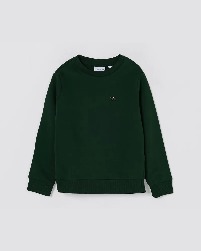 Lacoste Pullover kinder Grün
