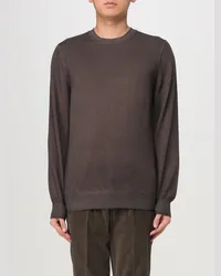 Fay Pullover Braun