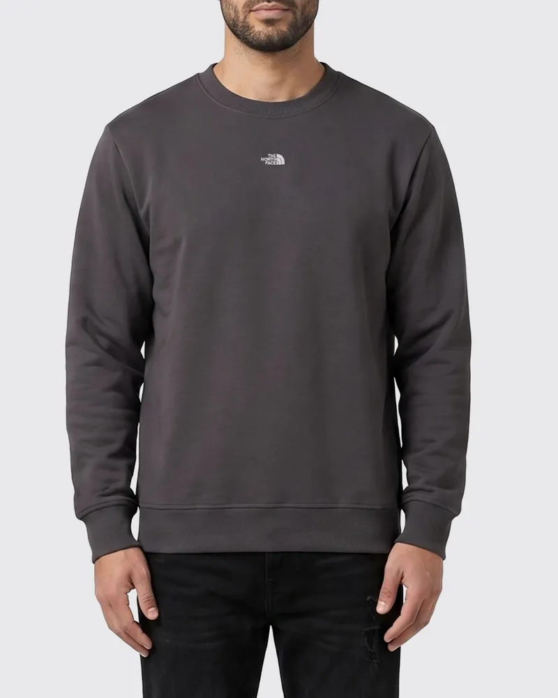 The North Face Pullover herren Grau