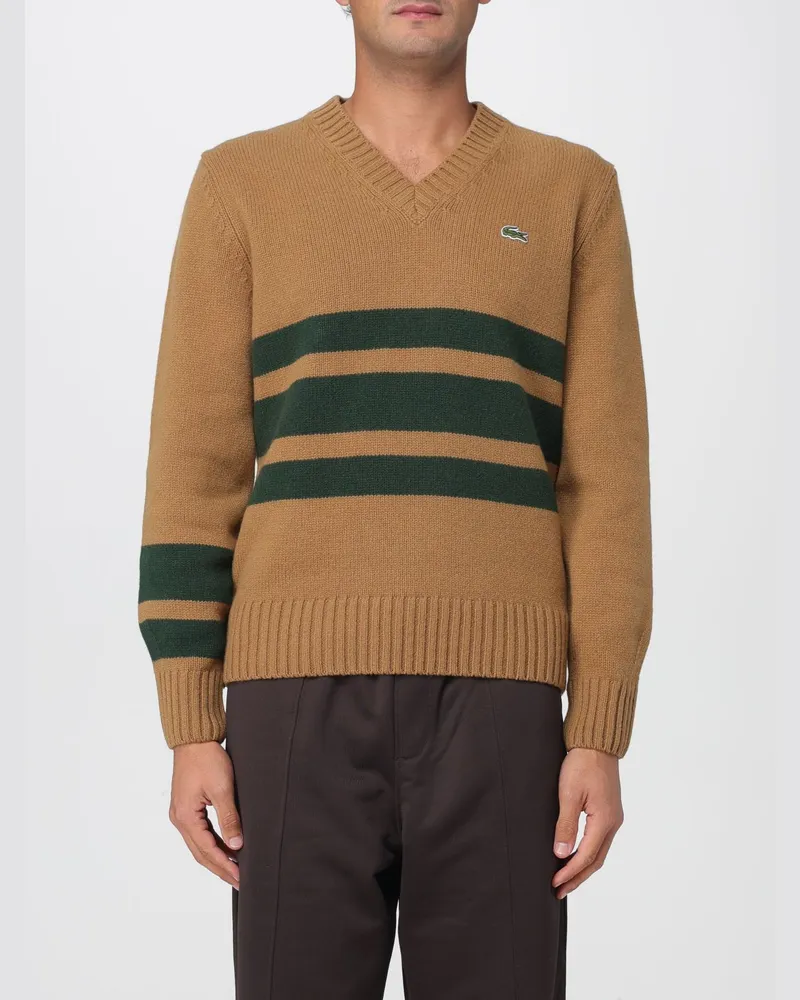 Lacoste Pullover herren Braun