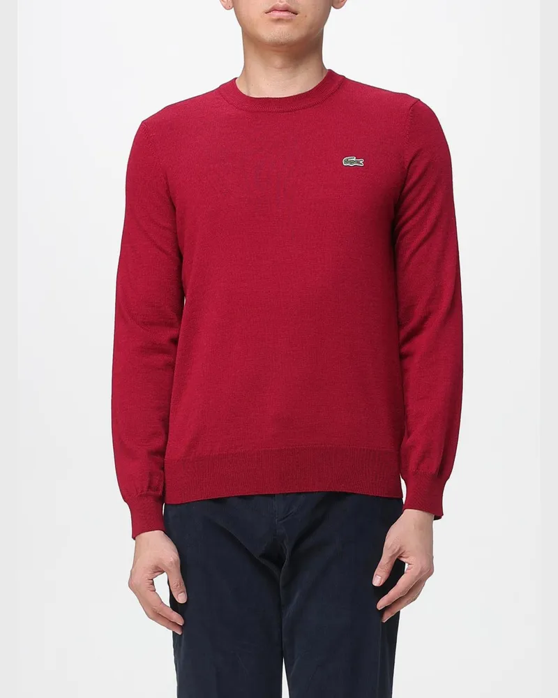 Lacoste Pullover herren Burgunderrot