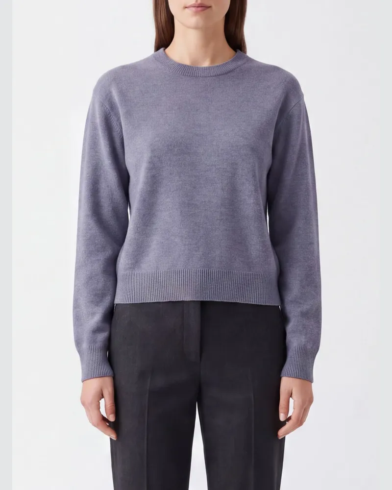 Róhe Pullover mit Rundhalsausschnitt aus Wolle und Kaschmir mit Rippbündchen Grau