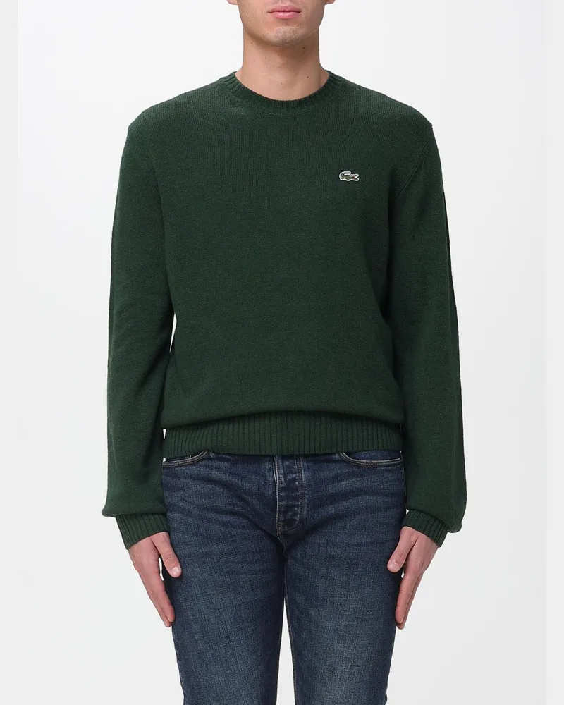 Lacoste Pullover herren Grün
