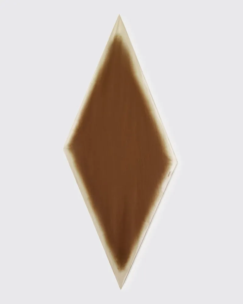 LARDINI Seidentuch herren Braun