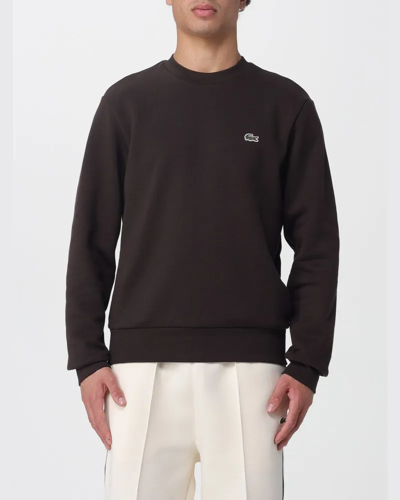 Lacoste Sweatshirt herren Braun