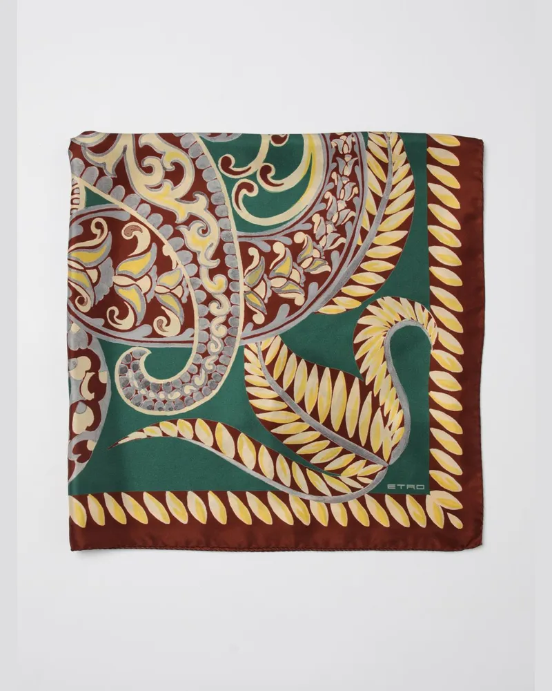 Etro Schal damen Bunt