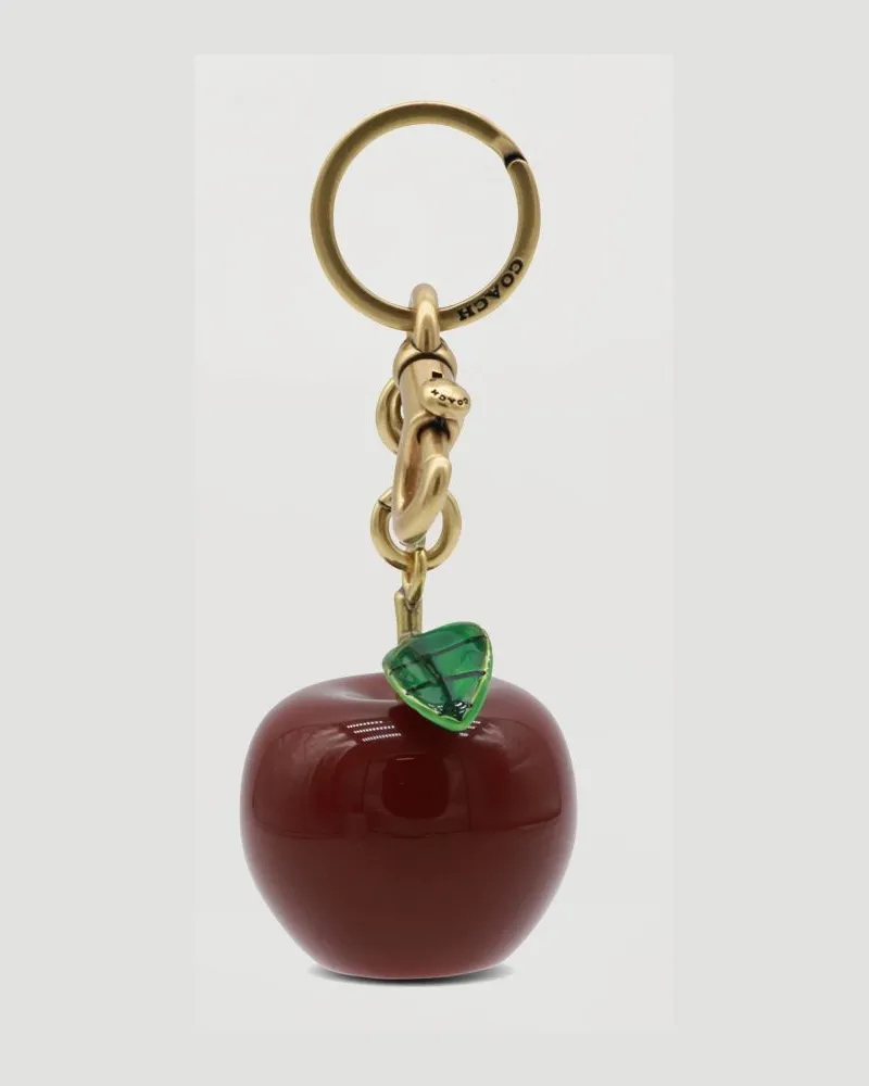 Coach Schlüsselanhänger damen Bunt